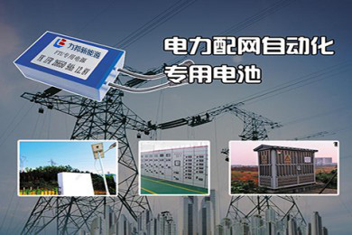 锂亚功率型电池